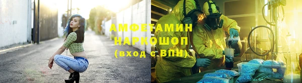 a pvp Каменногорск