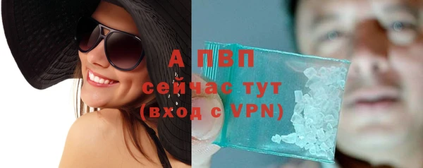 a pvp Каменногорск