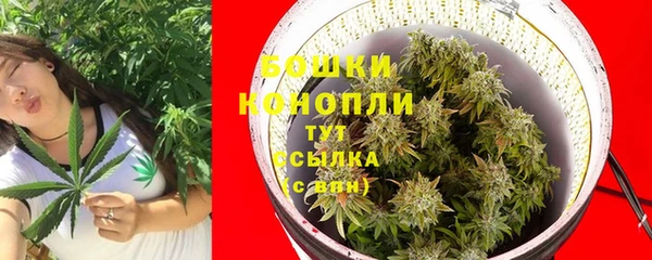 героин Каменка