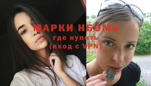a pvp Каменногорск