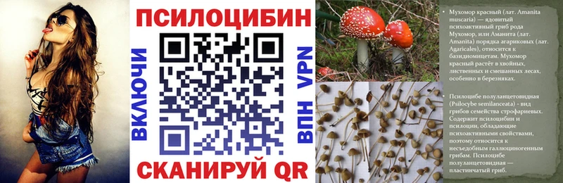 Псилоцибиновые грибы GOLDEN TEACHER  Купить  Воткинск 