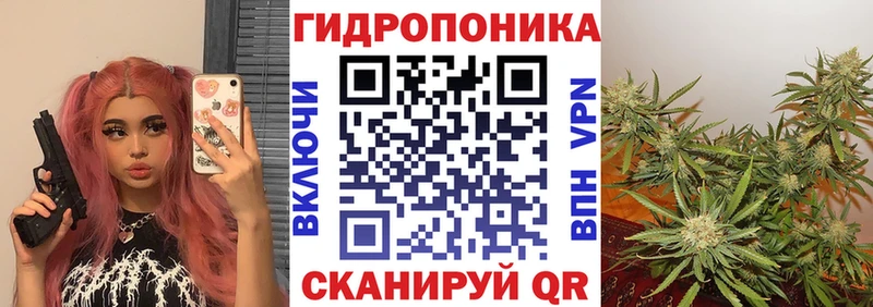 Шишки марихуана LSD WEED  Купить закладки  Воткинск 